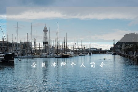 李魏律师个人简介