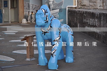杏仁钱包贷款逾期后果