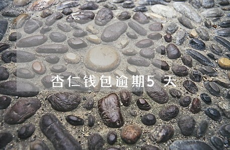 杏仁钱包逾期5天