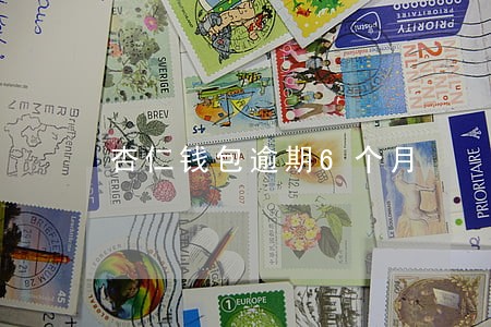 杏仁钱包逾期6个月 杏仁钱包逾期6个月