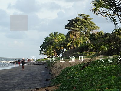 杏仁钱包逾期一天怎么处理 杏仁钱包逾期一天怎么处理