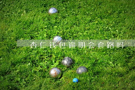 杏仁钱包逾期会套路吗