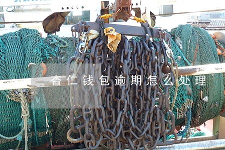 杏仁钱包逾期怎么处理 杏仁钱包逾期怎么处理