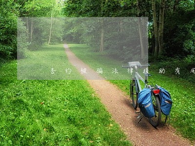 杏约被骗法律援助有用吗 杏约被骗法律援助有用吗