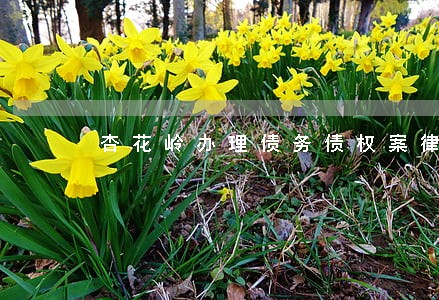 杏花岭办理债务债权案律师谁家好 杏花岭办理债务债权案律师谁家好