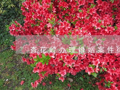 杏花岭办理婚姻案件律师哪个好 杏花岭办理婚姻案件律师哪个好