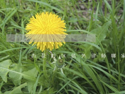 杏花岭区债务律师哪家便宜