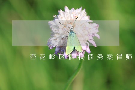 杏花岭区债权债务案律师咨询费 杏花岭区债权债务案律师咨询费