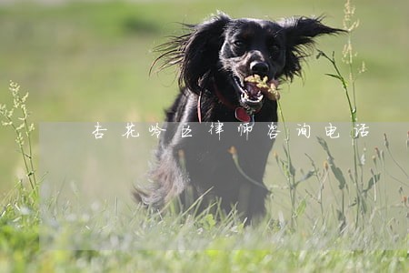 杏花岭区律师咨询电话 杏花岭区律师咨询电话