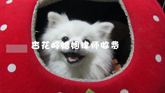 杏花岭婚姻律师收费