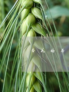 杏花岭房产律师收费
