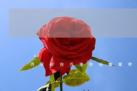 杏花岭资历深的刑事案律师谁家好