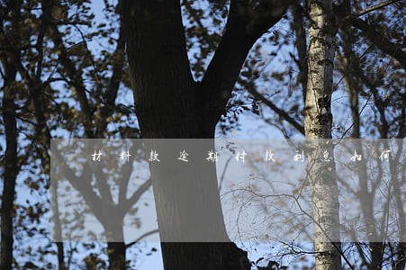 材料款逾期付款利息如何开票 材料款逾期付款利息如何开票