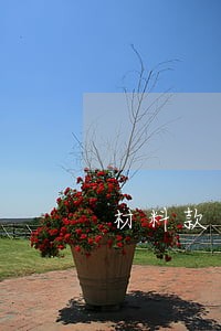 材料款逾期计算表模板 材料款逾期计算表模板