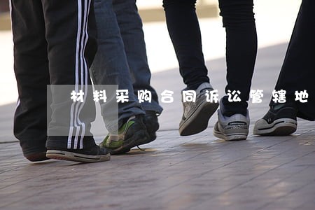 材料采购合同诉讼管辖地 材料采购合同诉讼管辖地