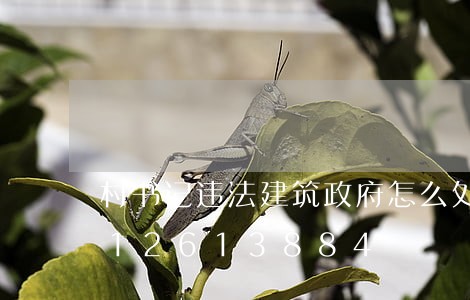 村书记违法建筑政府怎么处理/2023012613884