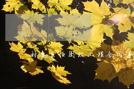 村委主任图改工程合同违法吗