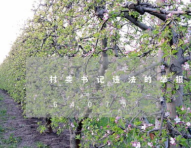 村委书记违法的举报信/2023020364075 村委书记违法的举报信/2023020364075