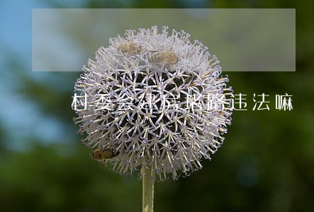 村委会建房堵路违法嘛 村委会建房堵路违法嘛