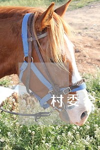 村委会有法律援助吗 村委会有法律援助吗
