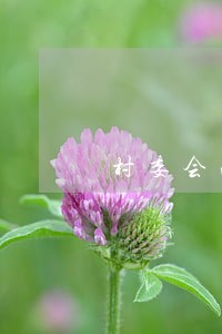 村委会法律援助制度