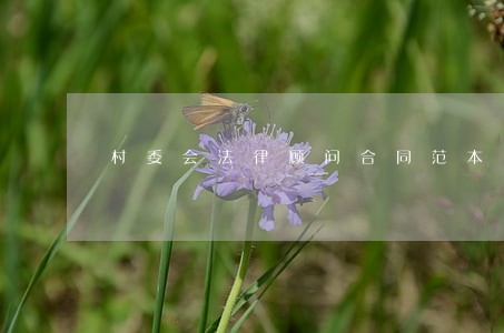 村委会法律顾问合同范本 村委会法律顾问合同范本