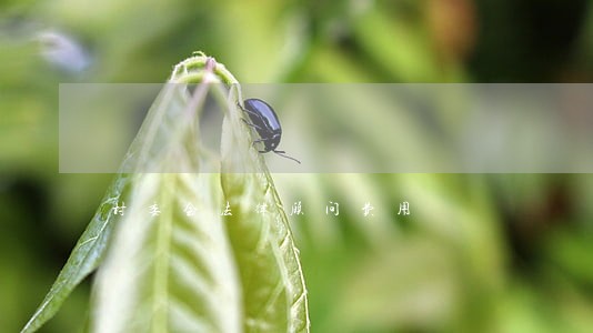 村委会法律顾问费用 村委会法律顾问费用