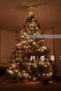 村委是不是有法律顾问 村委是不是有法律顾问
