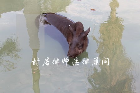 村居律师法律顾问 村居律师法律顾问