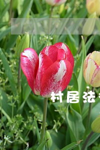 村居法律咨询改进 村居法律咨询改进