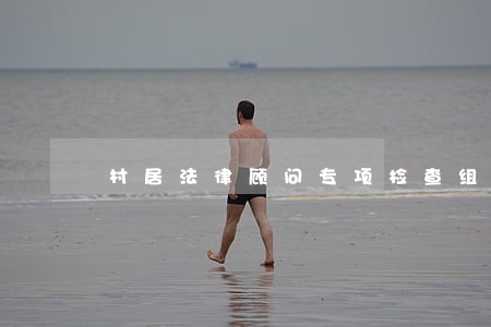 村居法律顾问专项检查组 村居法律顾问专项检查组