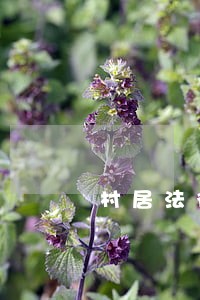 村居法律顾问业务培训内容有哪些