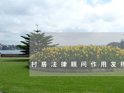 村居法律顾问作用发挥 村居法律顾问作用发挥