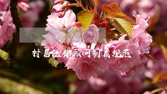 村居法律顾问制度规范 村居法律顾问制度规范