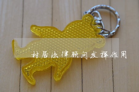 村居法律顾问发挥作用 村居法律顾问发挥作用