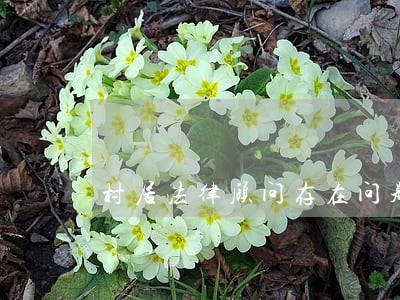 村居法律顾问存在问题 村居法律顾问存在问题
