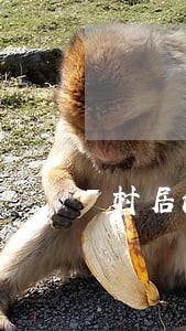 村居法律顾问工作信息 村居法律顾问工作信息