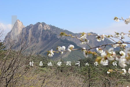 村居法律顾问工作汇报 村居法律顾问工作汇报