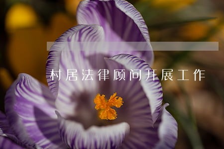 村居法律顾问开展工作 村居法律顾问开展工作