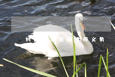 村居法律顾问律师义务 村居法律顾问律师义务