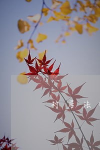 村居法律顾问怎样写卷宗 村居法律顾问怎样写卷宗