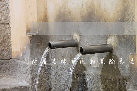 村居法律顾问扫黑除恶法制讲座
