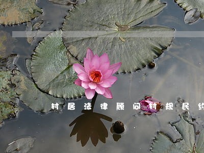 村居法律顾问村规民约 村居法律顾问村规民约