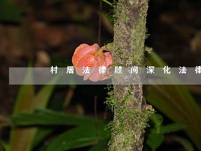 村居法律顾问深化法律服务