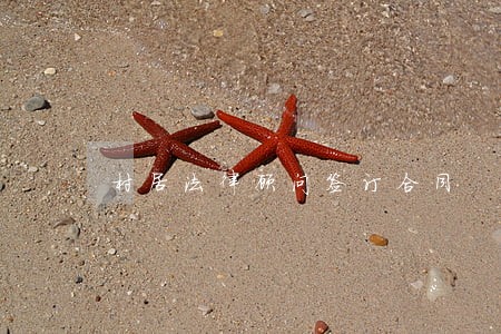 村居法律顾问签订合同 村居法律顾问签订合同