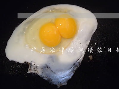 村居法律顾问绩效目标 村居法律顾问绩效目标