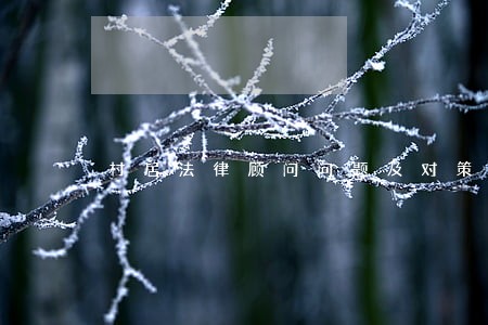 村居法律顾问问题及对策 村居法律顾问问题及对策
