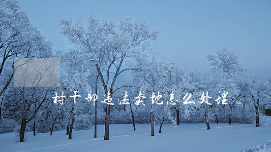 村干部违法卖地怎么处理 村干部违法卖地怎么处理