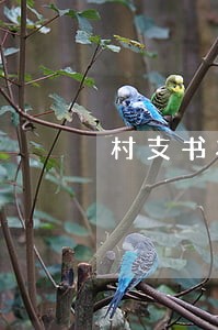 村支书将我的逾期短信发到群里 村支书将我的逾期短信发到群里