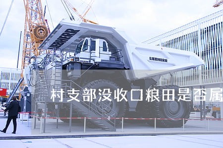 村支部没收口粮田是否属于违法 村支部没收口粮田是否属于违法